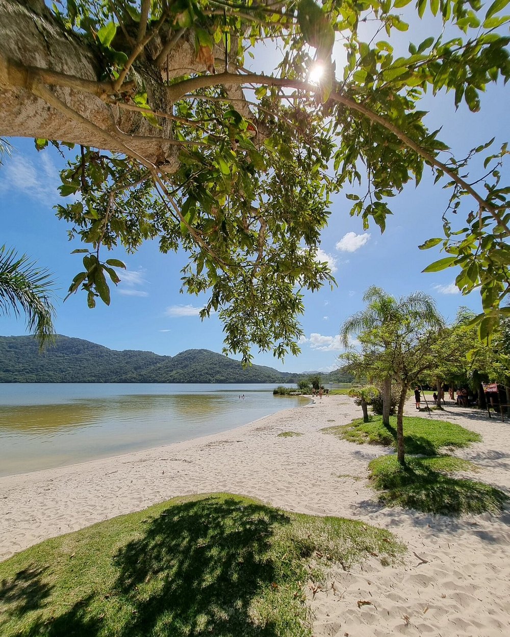 Lagoa do Peri cercada por Mata Atlântica em Florianópolis SC